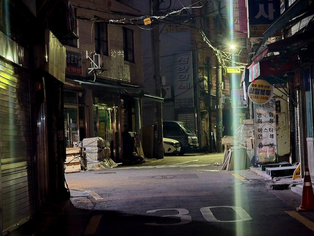 best-seoul-night-road-euljiro-printing-district A deep, atmospheric shot of an industrial alley in the Euljiro printing district. A green-tinted light flare illuminates a 30km speed limit painted on the asphalt. Signs for "상일봉투" (Sangil Envelope) and "대동인쇄" (Daedong Printing) represent the decades-old industrial heritage found on the Best Seoul Night Road.