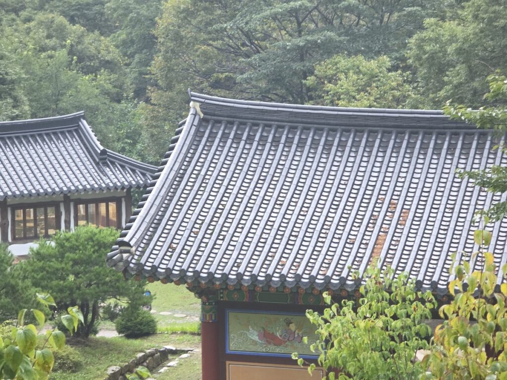 Meditation hall inside a Buddhist temple near Seoul, where participants practice silent meditation and breathing during weekend temple stay retreats.