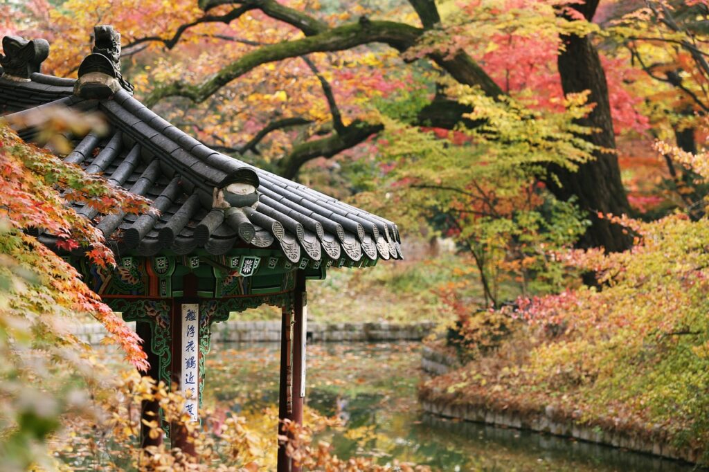 "Visitors walking along a maple-lined path inside Changdeokgung Palace in Seoul, enjoying the vivid autumn foliage and traditional palace scenery."