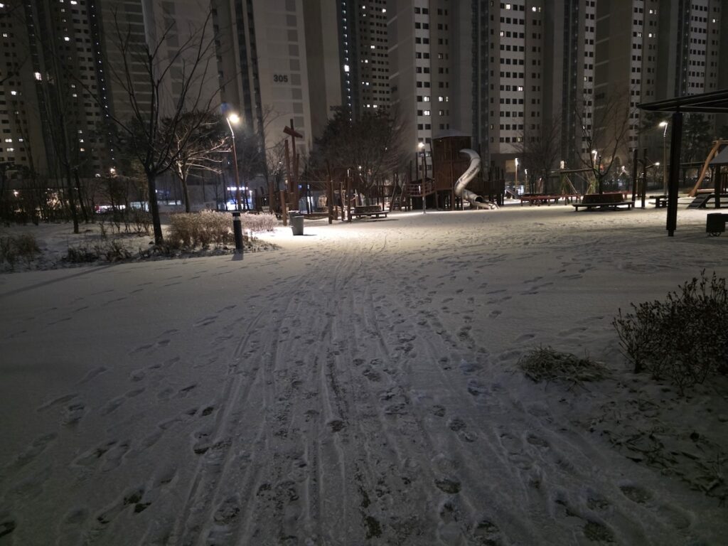 An expansive snowy park at night, showing the deep, clean accumulation far from the salted main roads.