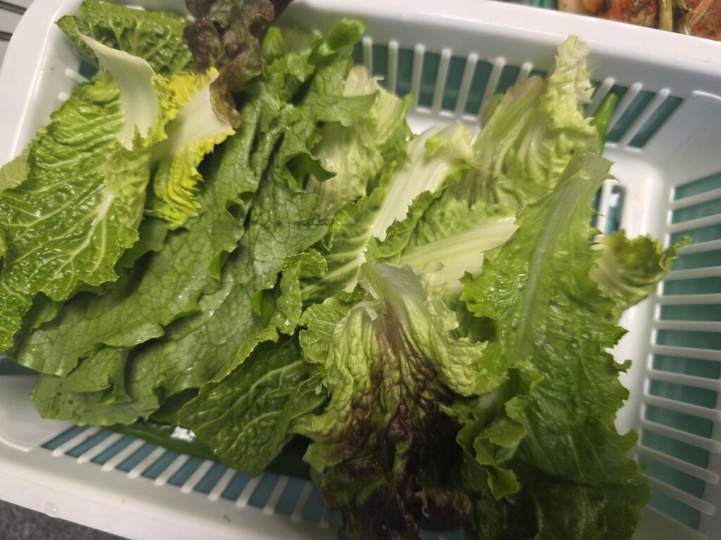 fresh-sangchu-lettuce-for-ssam A basket of fresh, vibrant green Sangchu (Korean lettuce) and perilla leaves prepared for a traditional Ssam meal.