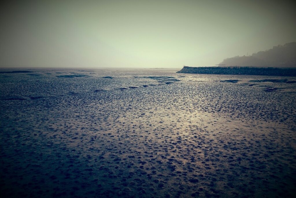Atmospheric grey landscape of winter Ganghwa Island Mudflat in Korea