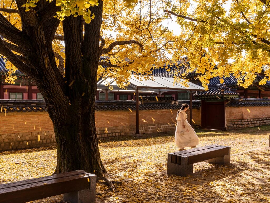 "Gyeongbokgung Palace in Seoul surrounded by colorful autumn trees, with red and yellow leaves falling around traditional Korean architecture."