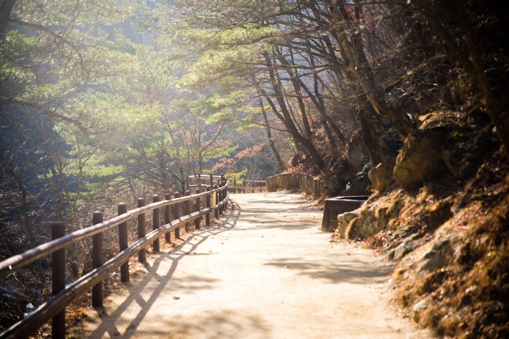 A peaceful morning hiking trail on Inwangsan Mountain in Seoul, illuminated by soft sunlight streaming through trees and rocks.