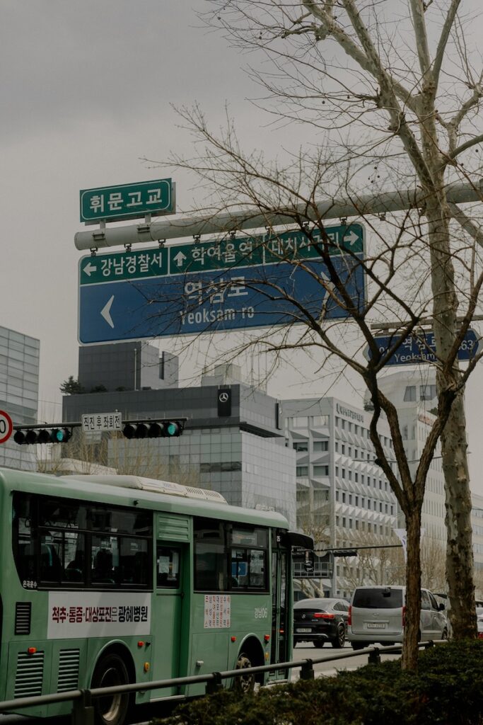 Kakao Metro and Kakao Bus apps guide for navigating subway and bus in Korea 2025