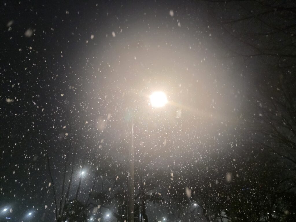 Korea Travel: Seoul Snow Season Guide showing cinematic falling snow under streetlights.