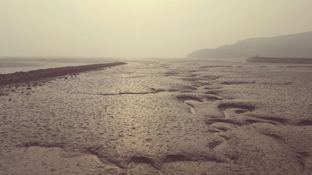 A solitary figure walking across a vast Korean mudflat during late autumn, expressing solitude and calm atmosphere”