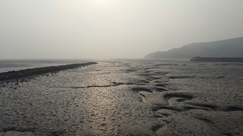 korean-mudflat-texture-autumn ALT text: “Empty Korean mudflat in winter with wide gray surface and distant horizon under cold sky”