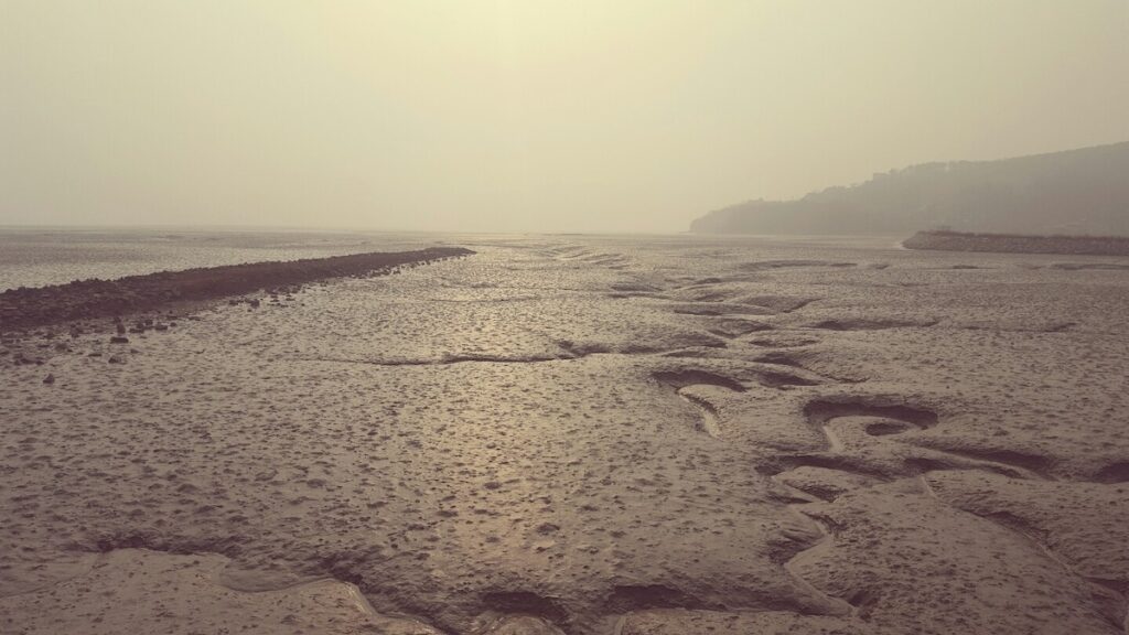 korean-mudflat-winter-landscape “Close-up view of a Korean mudflat surface in autumn showing wet sand patterns and tidal marks”