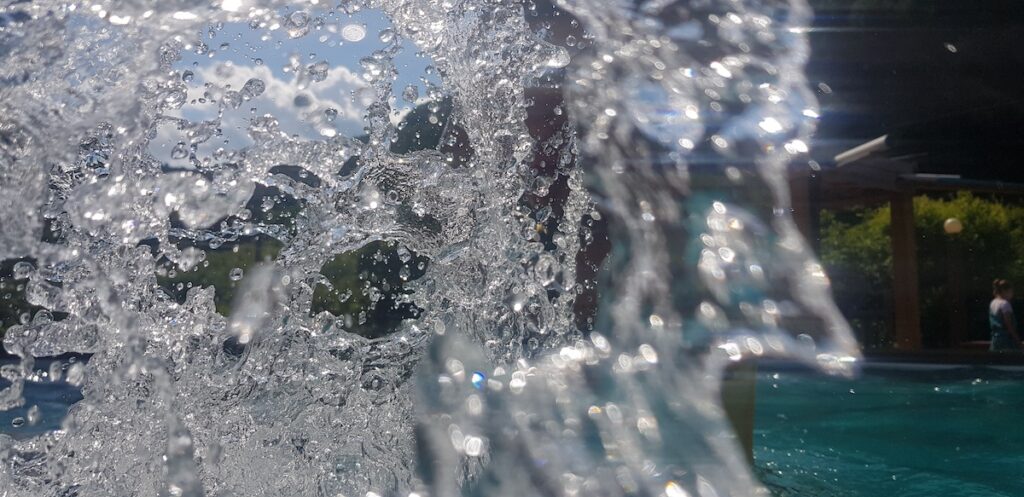 luxury-dog-resort-korea-water-splash-fun Highlighting the premium water facilities at pet-friendly stays Korea, this high-action shot captures a dramatic burst of water droplets in a swimming pool. The crystal-clear water and green pension landscape represent the ideal "Pet-vacance" environment.