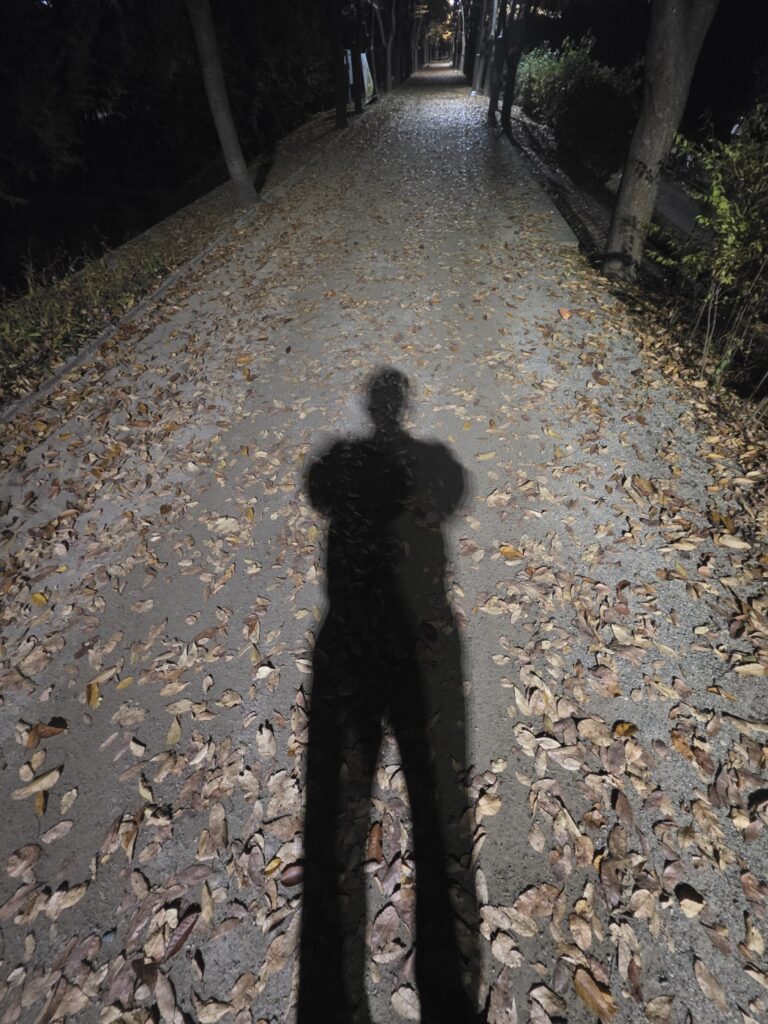 A silhouette of a person walking along the Han River path in Seoul at night, their shadow cast long and clear under the warm glow of streetlights.