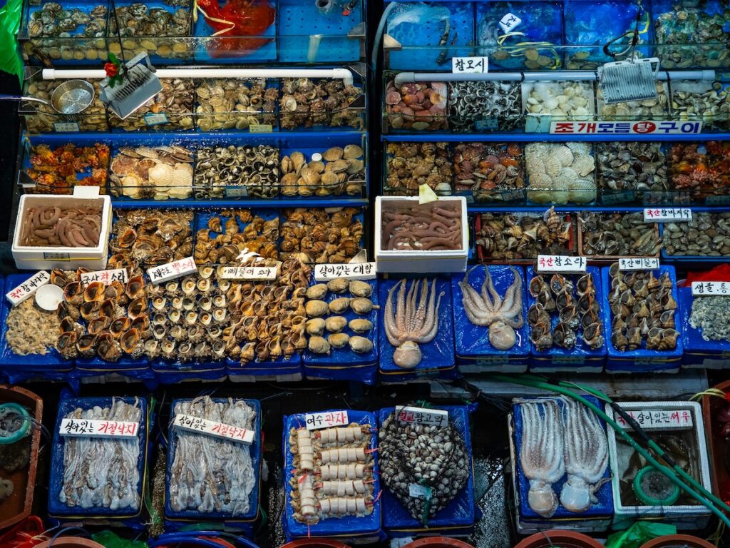 Noryangjin Fish Market and Garak Market seafood stalls in Seoul 2025