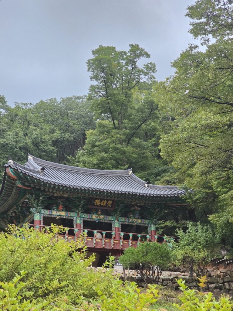 peaceful-korean-buddhist-temple-landscape 7 Essential Tips for Vegetarians in Korea showcasing the serene architecture of a Korean temple, the birthplace of authentic vegetarian cuisine.