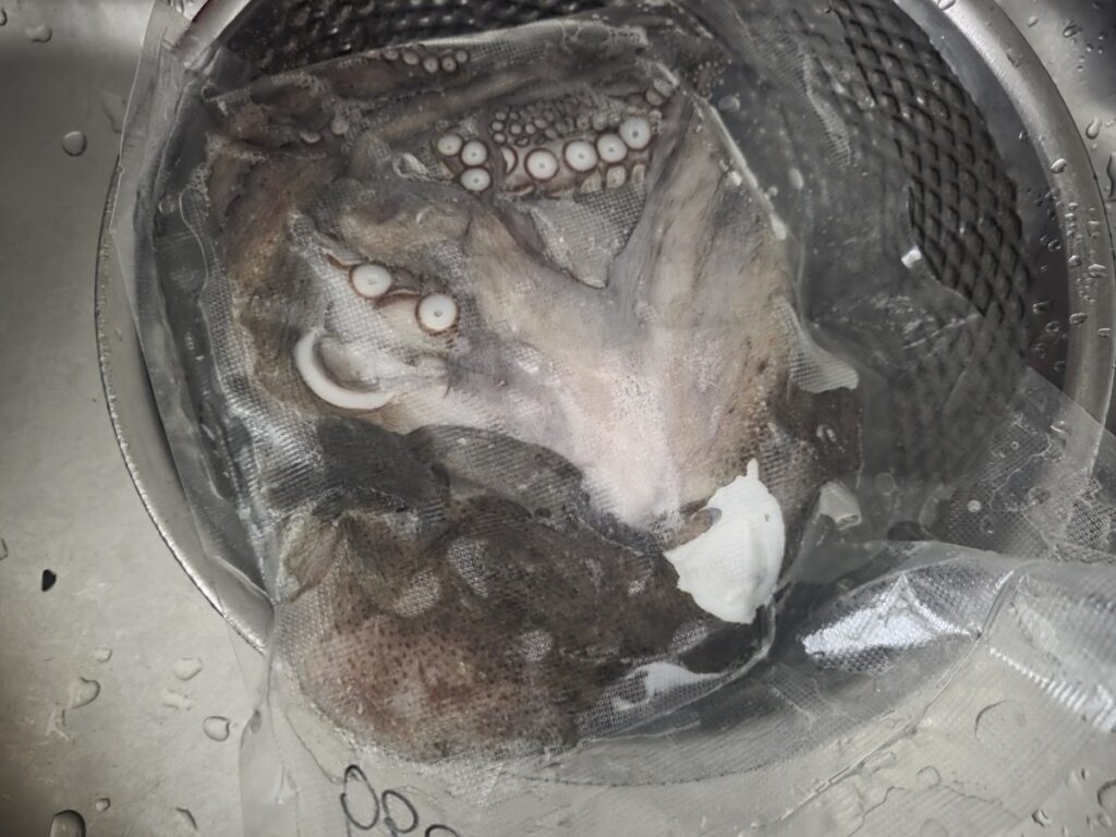 preparing-jeju-stone-octopus-raw Preparing fresh raw stone octopus from Jeju Island for a Perfectly Chewy texture.