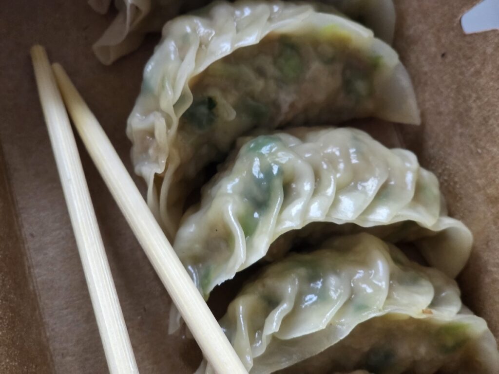Close-up of thin-skin dumplings showing the Seoul mandu protocol of translucent dough and rich filling.