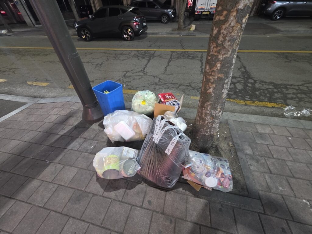Multiple transparent recycling bags and a blue bin placed between a gray utility pole and a tree on a Seoul sidewalk.