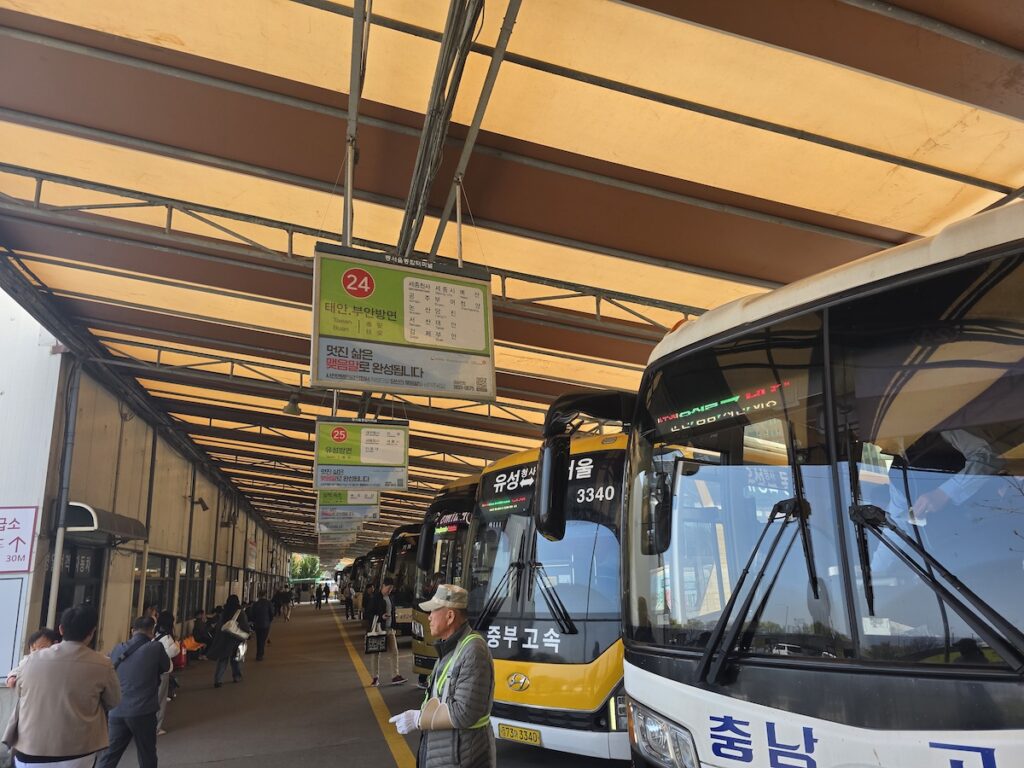 seoul-to-yangyang-bus-platform-number Rows of buses parked at platforms 24 and 25 for Seoul to Yangyang bus and provincial routes.