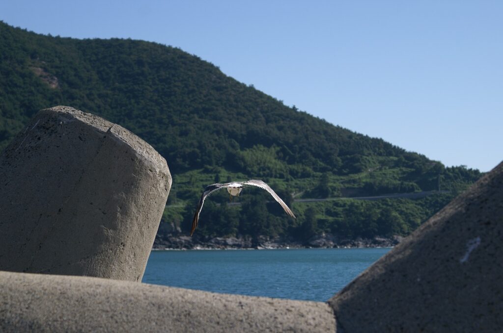 The sparkling blue waves of the West Sea near Seoul, reflecting bright sunlight on a rocky beach—a perfect scenery for a Seoul Beach Day Trip via public transport.