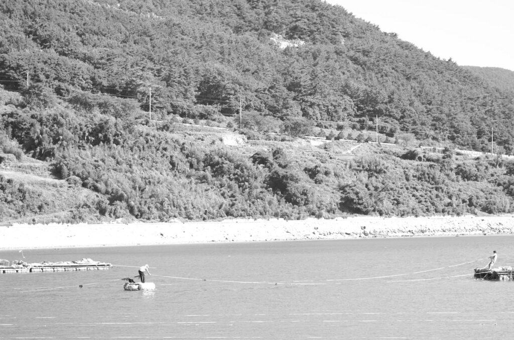 Local fishermen working at a quiet coastal village near Seoul, showing the authentic lifestyle of the Korean seaside.