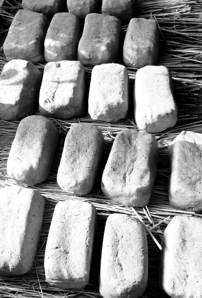 traditional-korean-meju-soybean-bricks Handmade Meju soybean bricks drying on straw for Traditional Korean Fermentation Experience