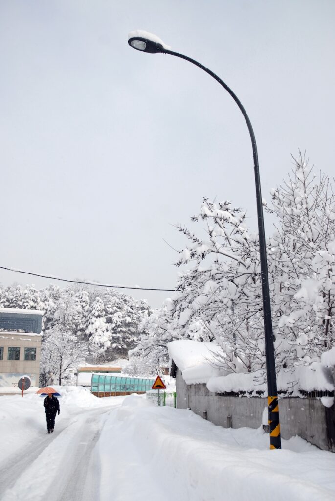 A person walking through a street heavily covered in white snow in Donghae City, South Korea, capturing the authentic and quiet atmosphere of a Korean coastal winter.